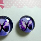 Purple Butterfly Magnetic Earrings