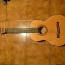 Low price but good guitar
