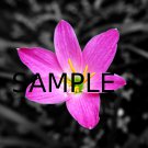 Digital image for desktop or smartphone wallpaper 04