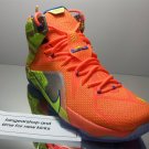 Nike Lebron XII 12 Six Meridians Basketball shoes