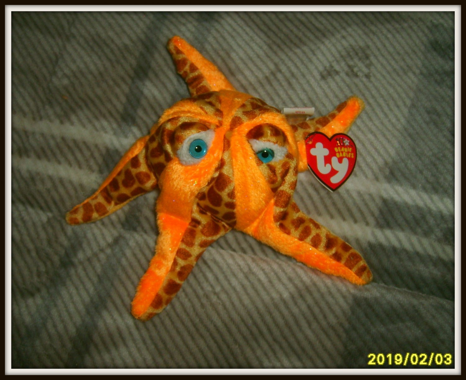 starfish beanie baby