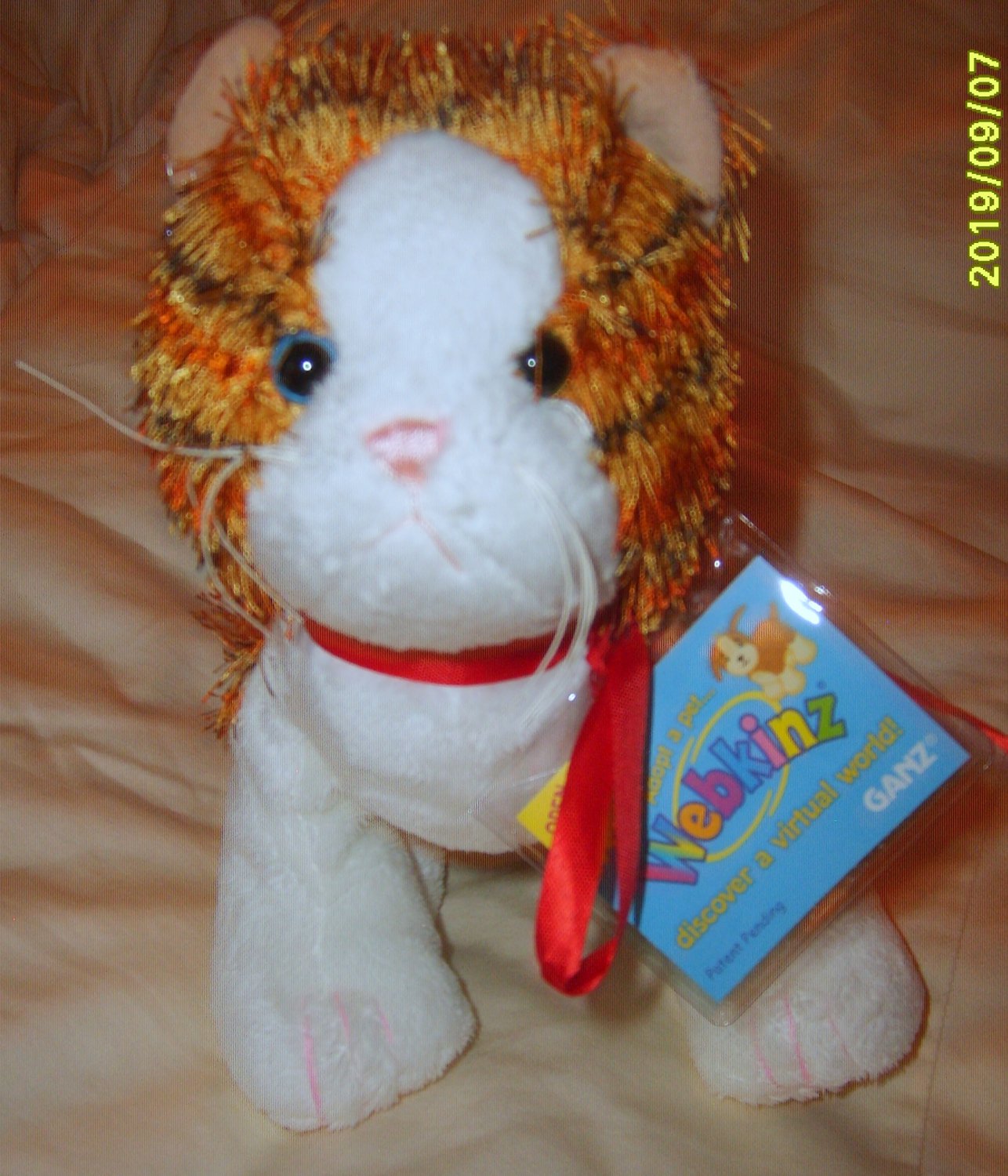 webkinz cat