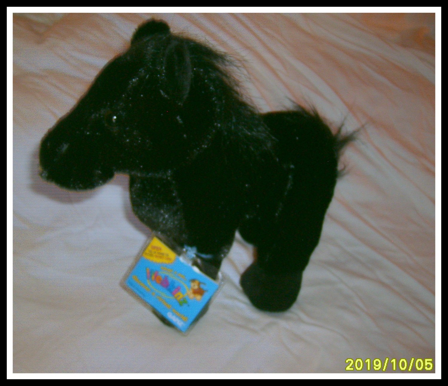 black stallion webkinz