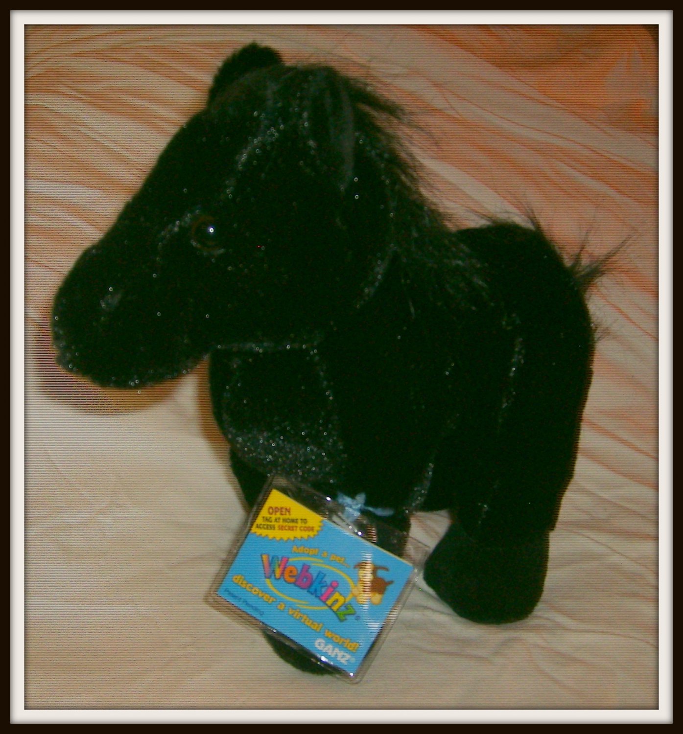 black stallion webkinz