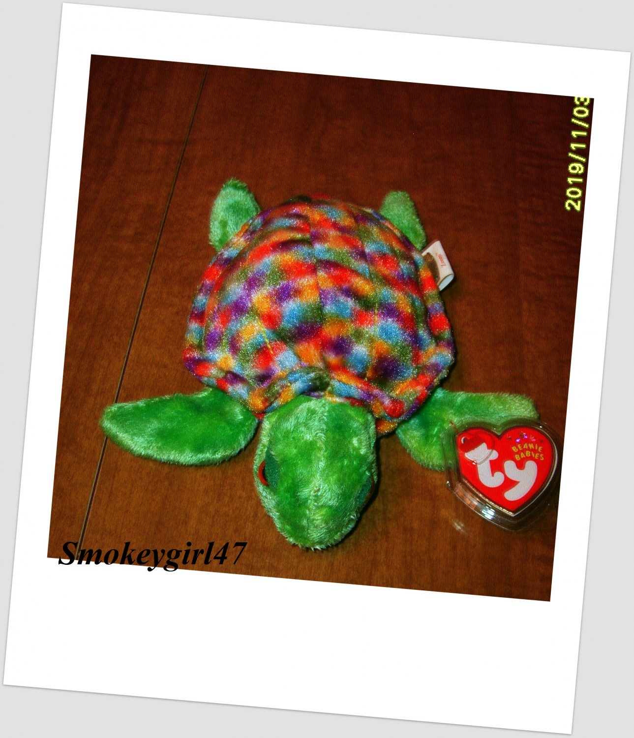 ty zoom turtle