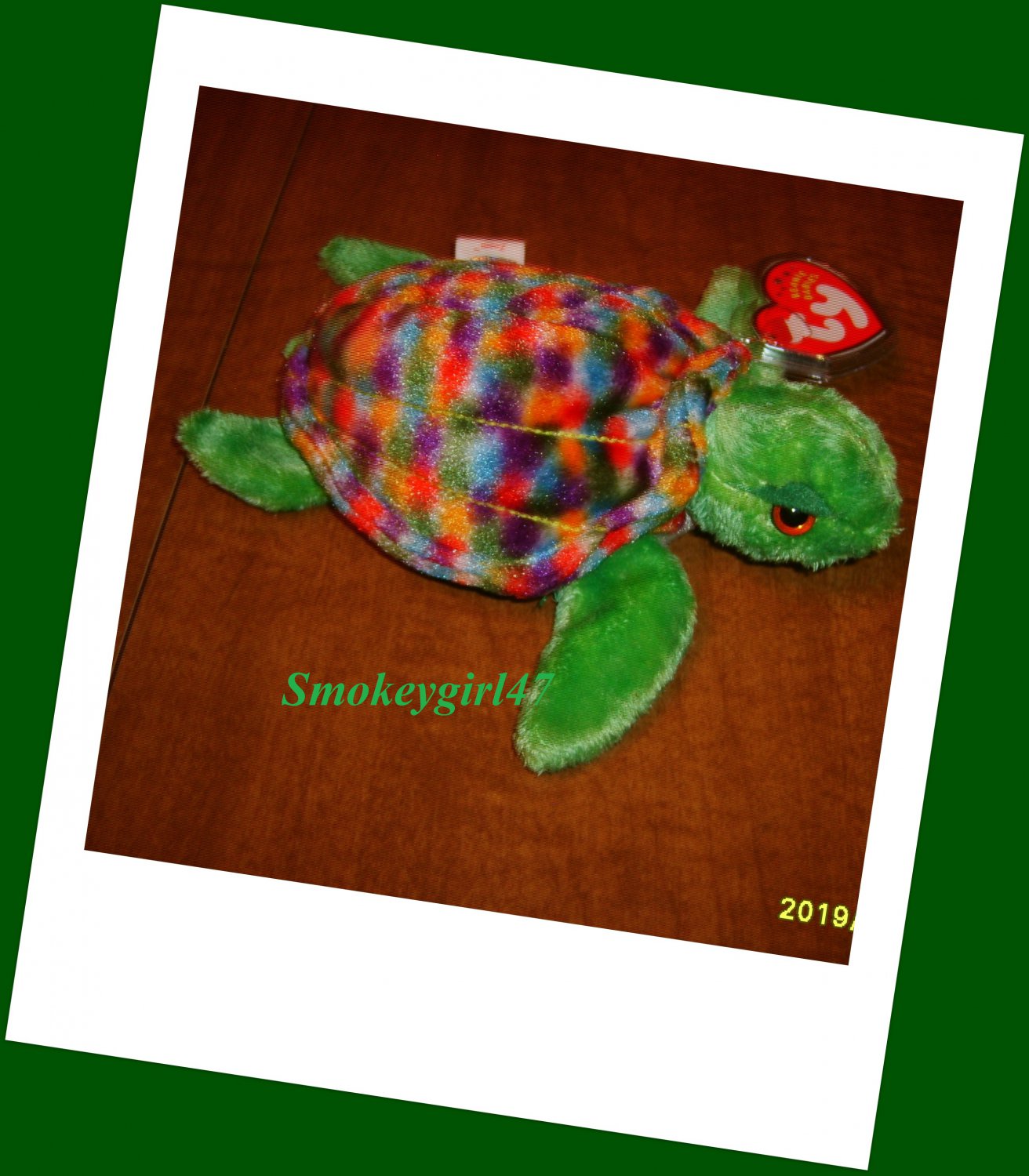 ty zoom turtle