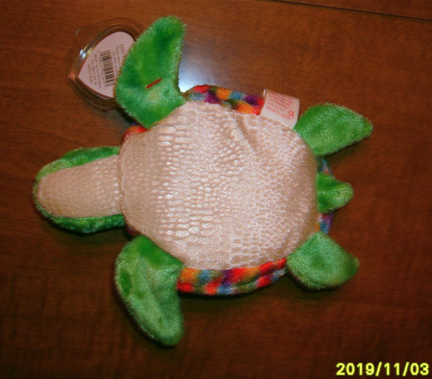 ty zoom turtle