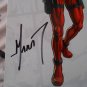 Dead Pool Mr Potato Head Signed by DC52 Artist