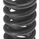 Perfect Circle 212-1150 Engine Valve Spring 2121150  New