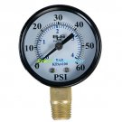 American Granby 60 Pressure Gauge - 1/4" NPT Plastic Case & Lens
