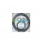 Aladdin GO-KIT77 Tune Up Kit for Jandy JHP and JHPU Pump