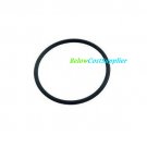 Pentair 86006900 Clean & Clear Plus FNS Plus Bulkhead O-Ring