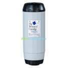 Jandy Zodiac W28135 Nature2 Inground Replacement Cartridge