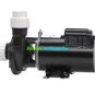 Gecko 21070001010 Alliance Flo-Master HP Pump 0.75 HP 115V 2SPD Pump