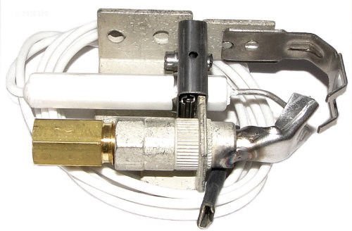 Raypak 008155F Raypak Pilot Nat Gas IID Low Nox Brand New