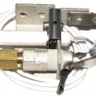 Raypak 008155F Raypak Pilot Nat Gas IID Low Nox Brand New