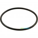 Hayward ECX1287 Perflex Extended-Cycle D.E. Filter Gauge Adapter O-Ring