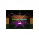 Fiberstars LLF40DB Laminar Flow Fountain with 40' of Fiber
