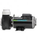 Gecko Alliance 61150001040 Flo-Master XP2 48 Frame 1.5 HP 115V 2SPD Pump