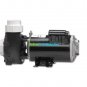 Gecko Alliance 61150001040 Flo-Master XP2 48 Frame 1.5 HP 115V 2SPD Pump