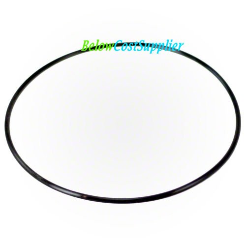 Pentair 154493 O-Ring Closure Pool/Spa Filter and Pump