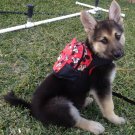 Dog Backpack Monkey Barkerpack™ by Barkerwear Dog Clothes
