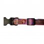 Sophia the First Collar by Barkerwear Dog Clothes