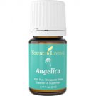 Angelica Essential Oil - 5 ml