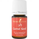 Carrot Seed Essential Oil - 5 ml