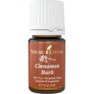Cinnamon Bark Essential Oil 5 ml