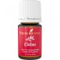 Cistus Essential Oil - 5 ml