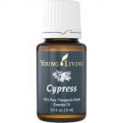 Cypress Essential Oil - 15 ml