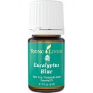 Eucalyptus Blue Essential Oil - 5 ml