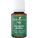 Eucalyptus Globulus Essential Oil - 15 ml