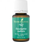 Eucalyptus Radiata Essential Oil - 15 ml