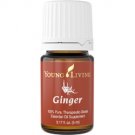 Ginger Essential Oil - 5 ml