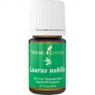 Laurus Nobilis Essential Oil - 5 ml