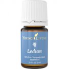 Ledum Essential Oil - 5 ml