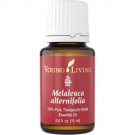 Melaleuca (Alternifolia) Essential Oil - 15 ml