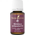 Melaleuca Quinquenervia Essential Oil - 15 ml