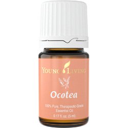 Ocotea Essential Oil - 5 ml