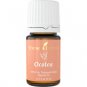 Ocotea Essential Oil - 5 ml