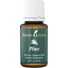 Pine Essential Oil - 15 ml