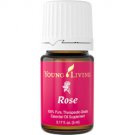 Rose Essential Oil - 5 ml