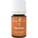 Valerian Essential Oil - 5 ml