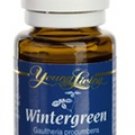 Wintergreen Essential Oil - 15 ml