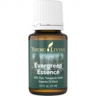 Evergreen Essence Essential Oil - 15 ml
