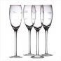 Etched Champagne Plutes