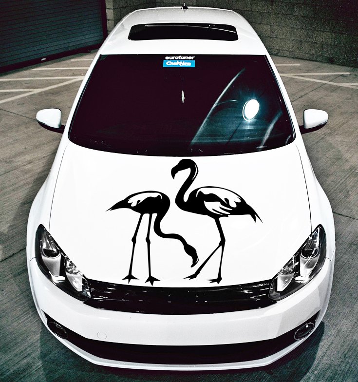 (16''x16'') Vinyl Wall Decal Flamingo Couple Birds Romantic Love Art Decor Sticker + Free Decal Gift