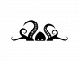 AnOL